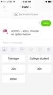 Eventually the H&M chatbot was not able to help this shopper with their question.