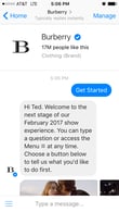 The Burberry chatbot is a nice blend of bot and human responses.