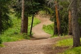 If things get busy on customer support, consider going outside for a walk. Just don&rsquo;t get lost&hellip;
