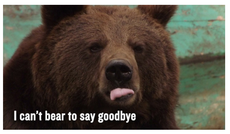 Photo of a bear…we use shortcuts to let customers know we can’t “bear” to say goodbye.