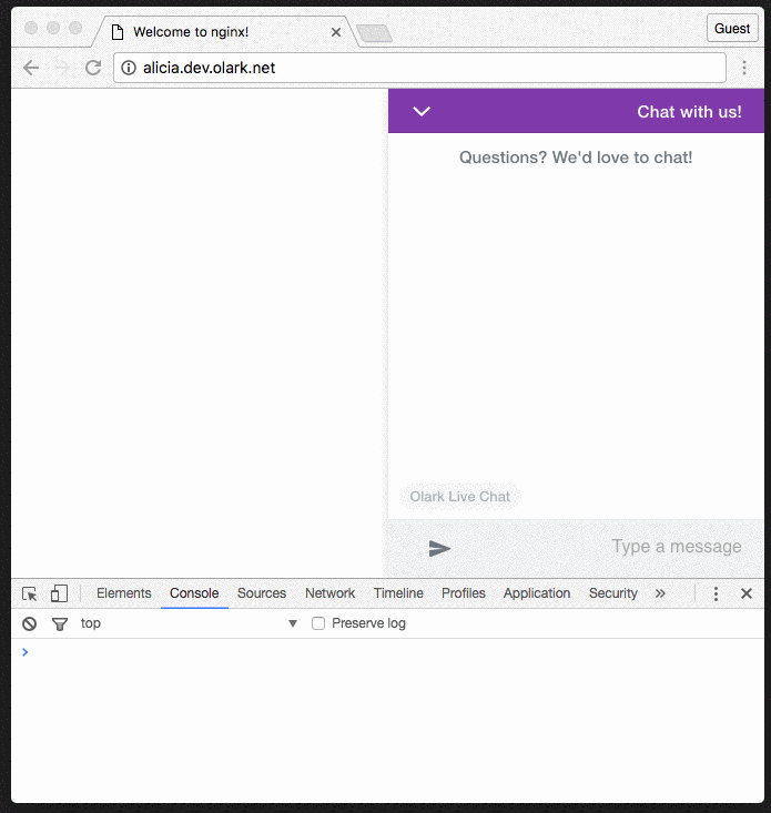 Screenshot of API call on shrink