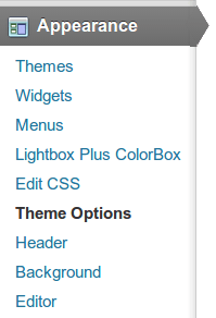 theme options